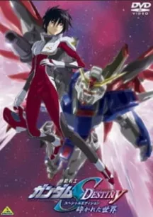 Mobile Suit Gundam SEED Destiny Special Edition